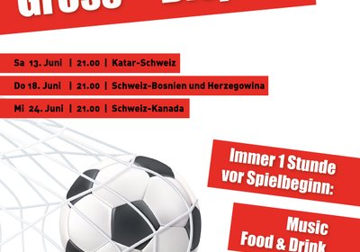 WM Live Übertragung (Katar-Schweiz)